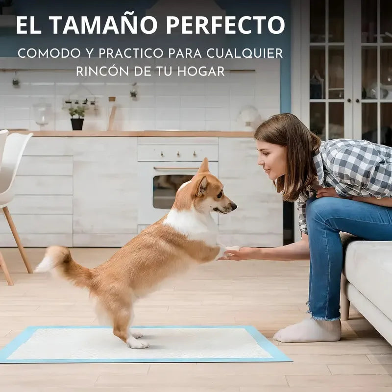 Alfombrilla Higiénica Perro Mascota Cachorro 45x60 50 Unid Celeste
