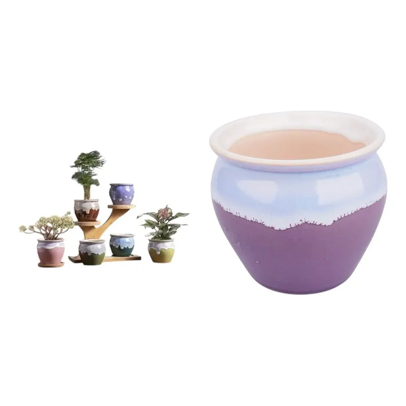 Pack 3 Maceteros Cerámica Decorativos 8cm Plantas Suculentas Vario