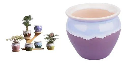 Pack 3 Maceteros Cerámica Decorativos 8cm Plantas Suculentas Vario