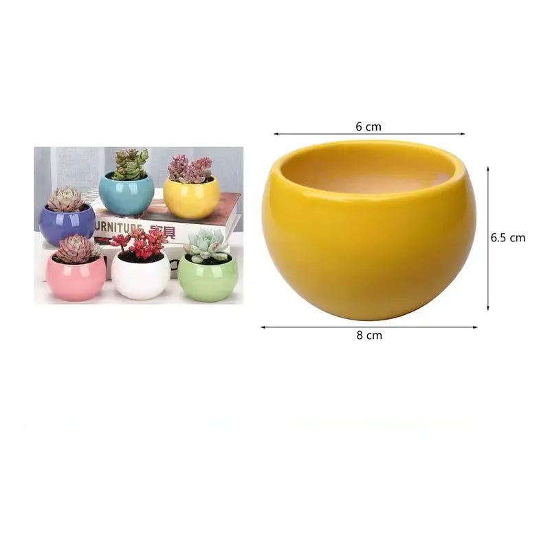 Pack 3 Maceteros Cerámica Para Suculentas 8cm Decorativos Vario