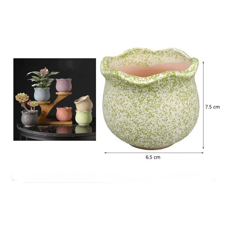 Pack 3 Maceteros Cerámica Para Suculentas 7cm Decorativos