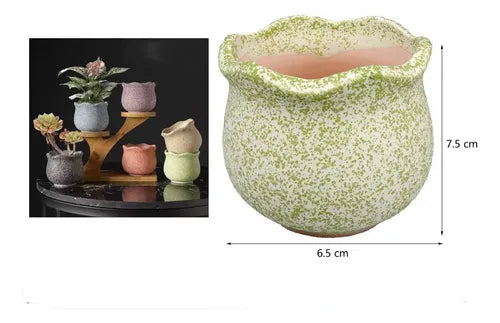 Pack 3 Maceteros Cerámica Para Suculentas 7cm Decorativos