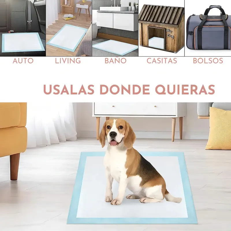 Alfombrilla Higiénica Perro Mascota Cachorro 60x60 40 Unid Celeste