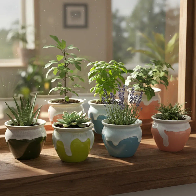 Pack 3 Maceteros Cerámica Decorativos 8cm Plantas Suculentas Vario