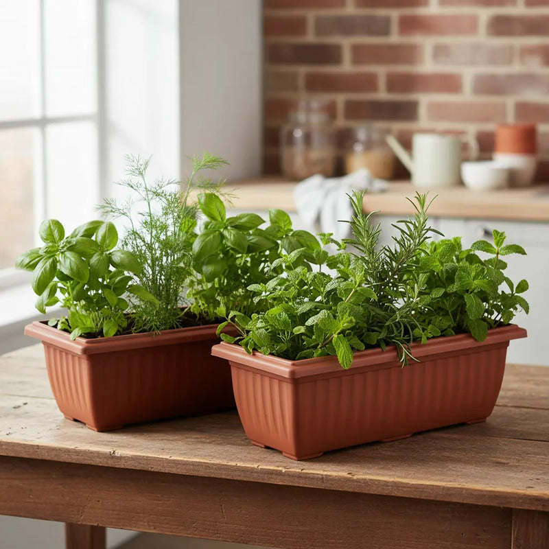 Macetero Tipo Jardinera Colonial. 50cm Bordeo