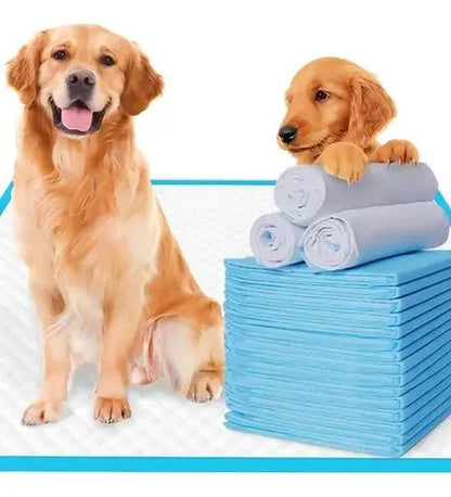 Alfombrilla Higiénica Perro Mascota Cachorro 60x90 20 Unid Celeste