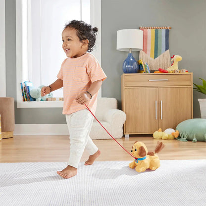 Fisher Price Mi Primer Cachorro H9447 Mattel