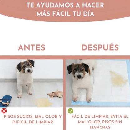 Alfombrilla Higiénica Perro Mascota Cachorro 45x60 50 Unid Celeste