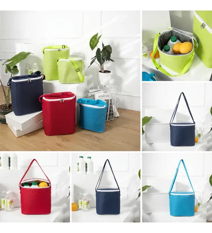 Bolso Térmico Cooler Comida Bebidas Picnic 22*15*17 Varioos
