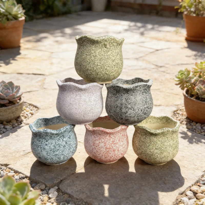 Pack 3 Maceteros Cerámica Para Suculentas 7cm Decorativos