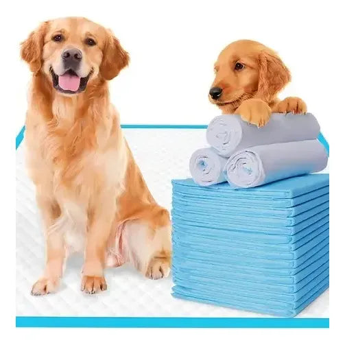 Alfombrilla Higiénica Perro Mascota Cachorro 45x60 50 Unid Celeste
