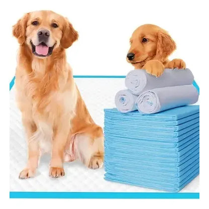 Alfombrilla Higiénica Perro Mascota Cachorro 45x60 50 Unid Celeste