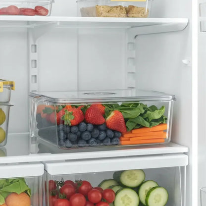 Caja Organizadora Para Refrigerador 14cmx28cmx30cm Transparente