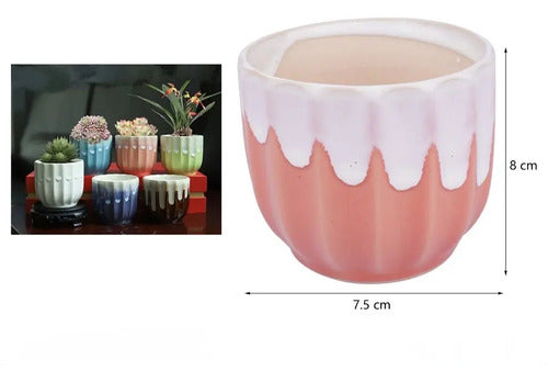 Pack 3 Maceteros Cerámica Para Suculentas 7cm Decorativos