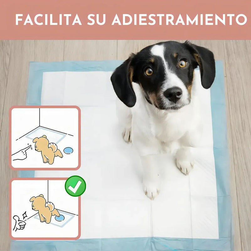 Alfombrilla Higiénica Perro Mascota Cachorro 60x90 20 Unid Celeste