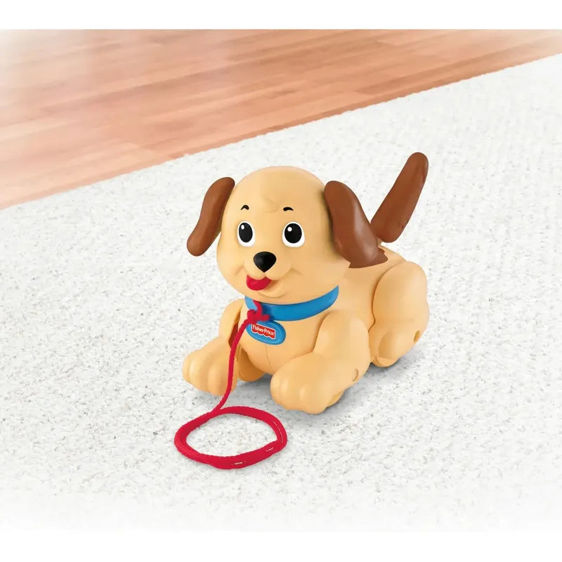 Fisher Price Mi Primer Cachorro H9447 Mattel