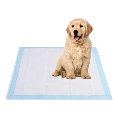 Alfombrilla Higiénica Perro Mascota Cachorro 45x60 50 Unid Celeste