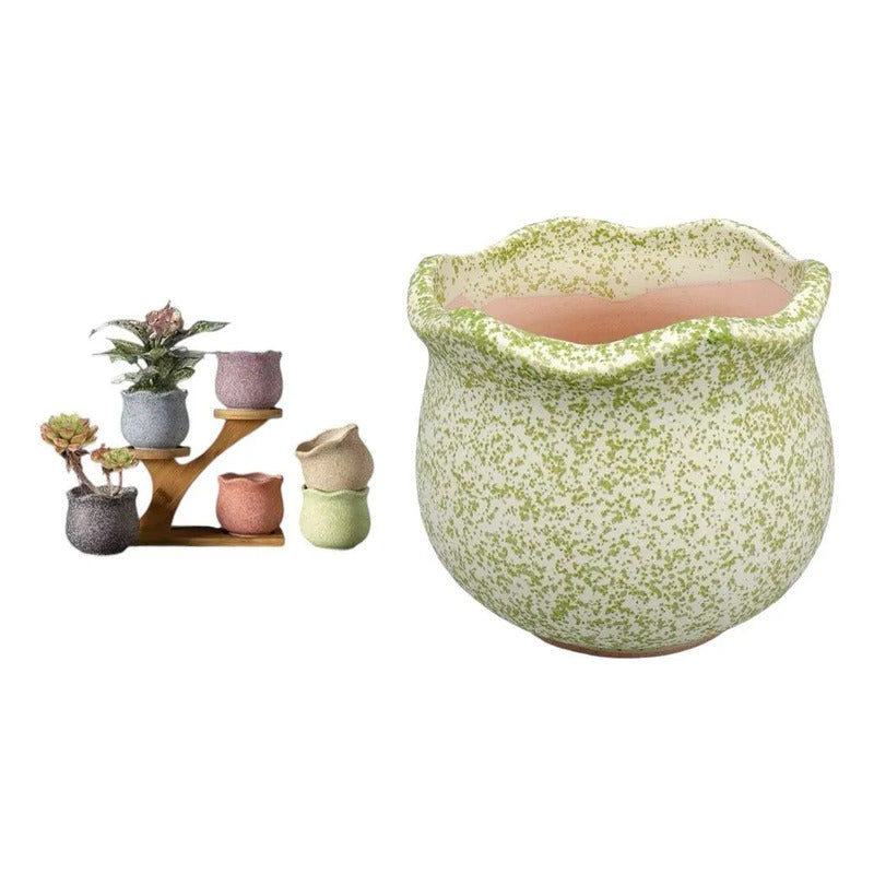 Pack 3 Maceteros Cerámica Para Suculentas 7cm Decorativos