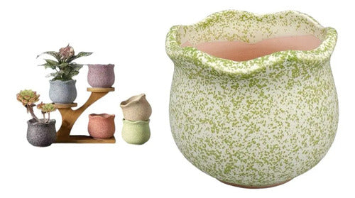 Pack 3 Maceteros Cerámica Para Suculentas 7cm Decorativos
