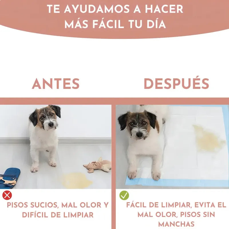 Alfombrilla Higiénica Perro Mascota Cachorro 60x60 40 Unid Celeste