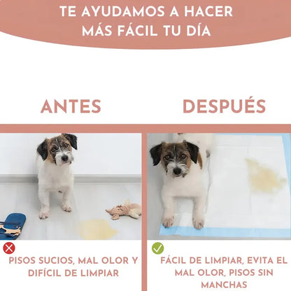 Alfombrilla Higiénica Perro Mascota Cachorro 60x60 40 Unid Celeste