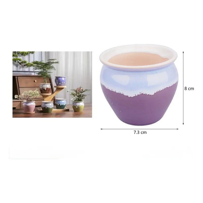 Pack 3 Maceteros Cerámica Decorativos 8cm Plantas Suculentas Vario
