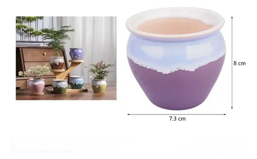 Pack 3 Maceteros Cerámica Decorativos 8cm Plantas Suculentas Vario