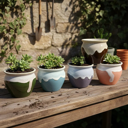Pack 3 Maceteros Cerámica Decorativos 8cm Plantas Suculentas Vario