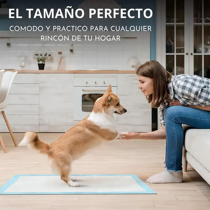 Alfombrilla Higiénica Perro Mascota Cachorro 60x90 20 Unid Celeste