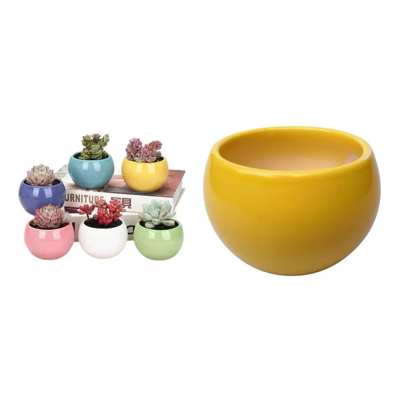 Pack 3 Maceteros Cerámica Para Suculentas 8cm Decorativos Vario