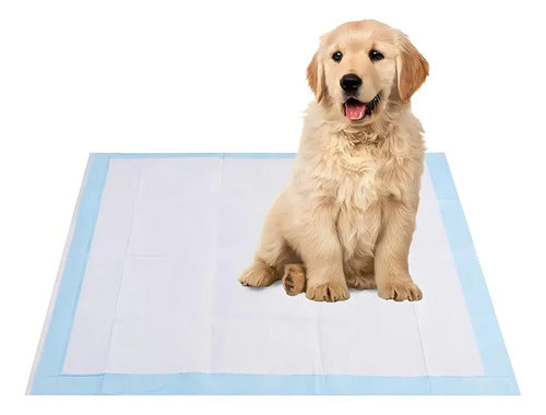 Alfombrilla Higiénica Perro Mascota Cachorro 60x90 20 Unid Celeste