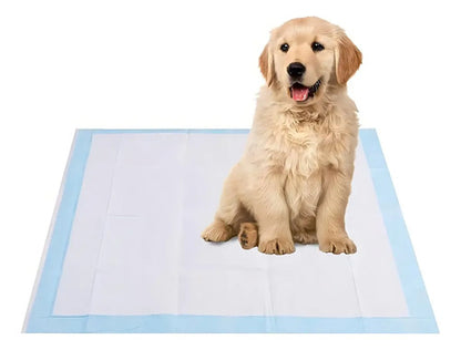 Alfombrilla Higiénica Perro Mascota Cachorro 60x60 40 Unid Celeste
