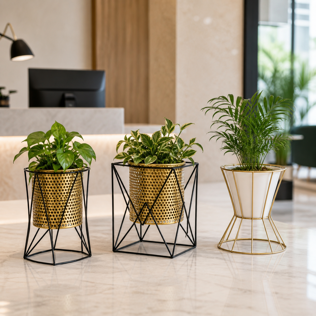 Maceteros elevados en recepción